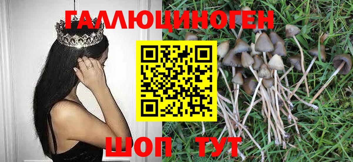 где купить   Вход с VPN  Среднеуральск  Галлюциногенные грибы Cubensis 